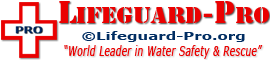 New Hampshire Lifeguard Logo